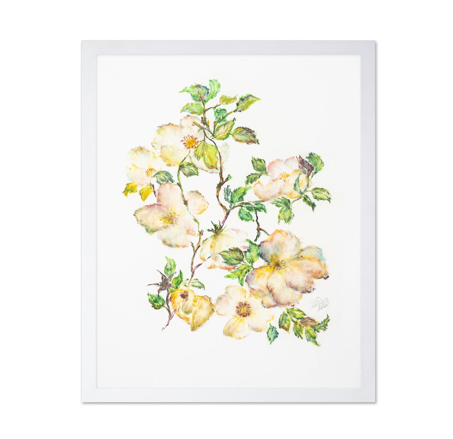 Wild Rose Bloom