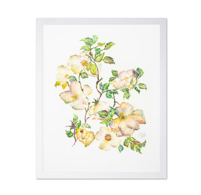 Wild Rose Bloom