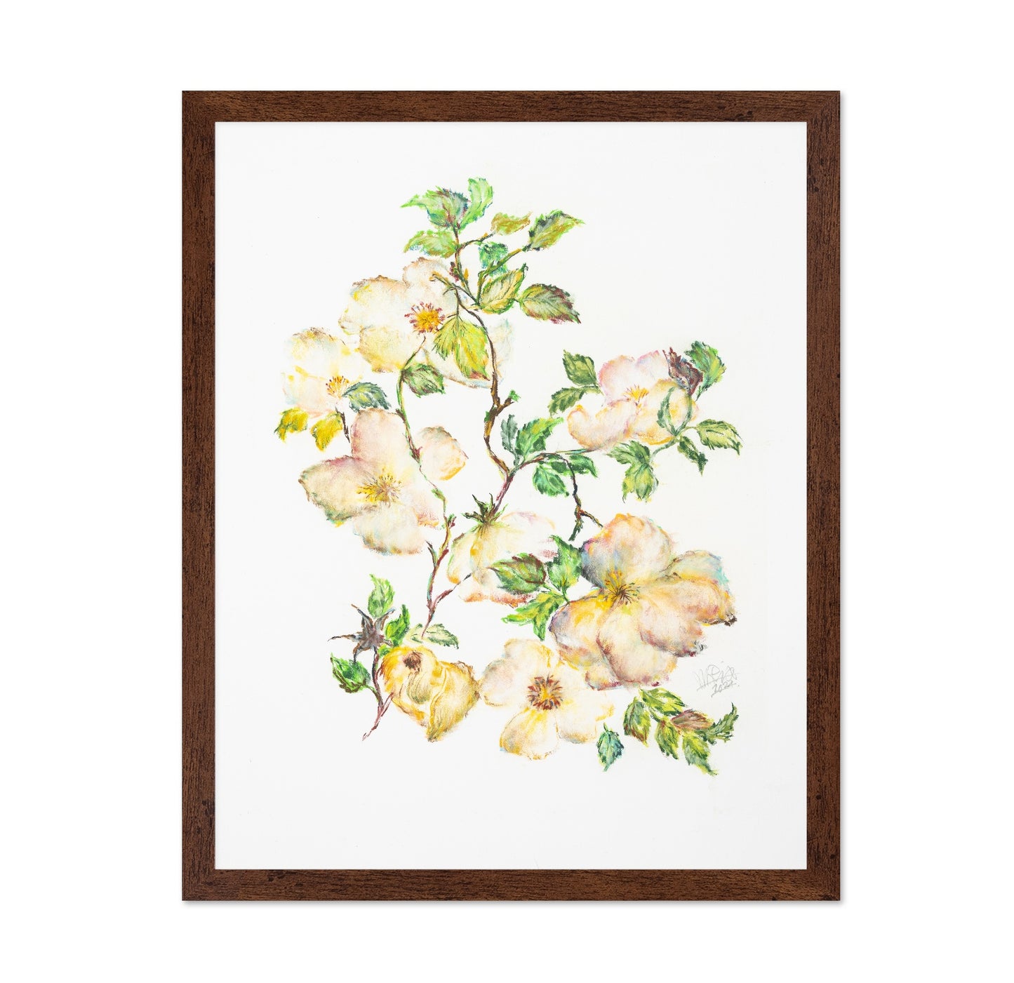 Wild Rose Bloom