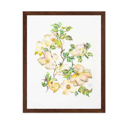 Wild Rose Bloom