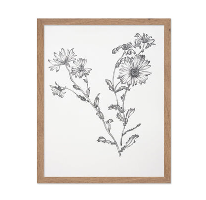Vintage Daisy Sketch