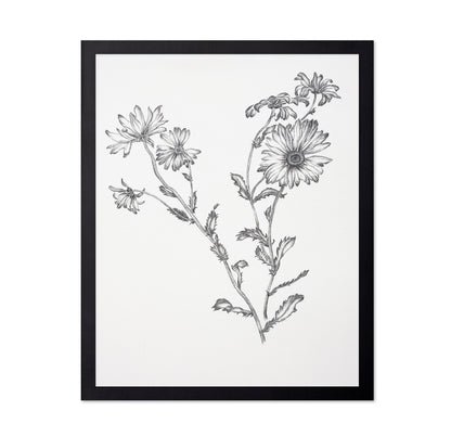 Vintage Daisy Sketch