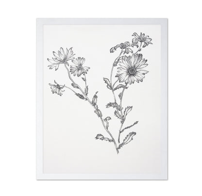 Vintage Daisy Sketch