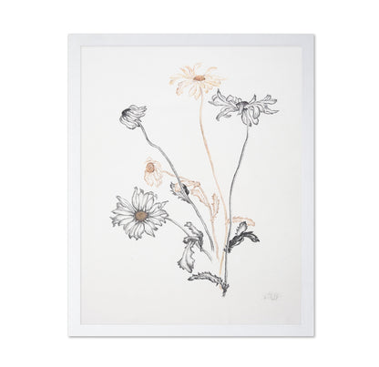 Minimal Daisy Sketch