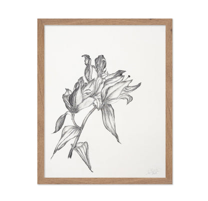 Elegant Lily Sketch