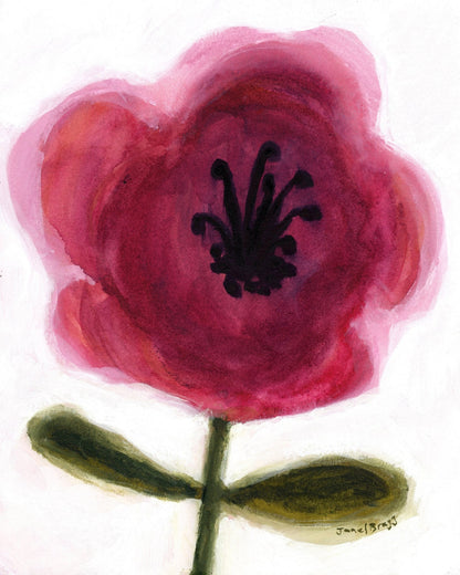 Crimson Bloom