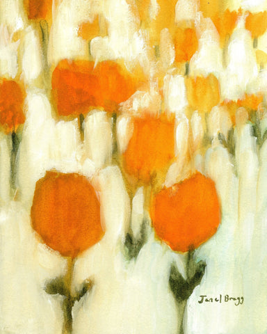 Orange Tulip Field