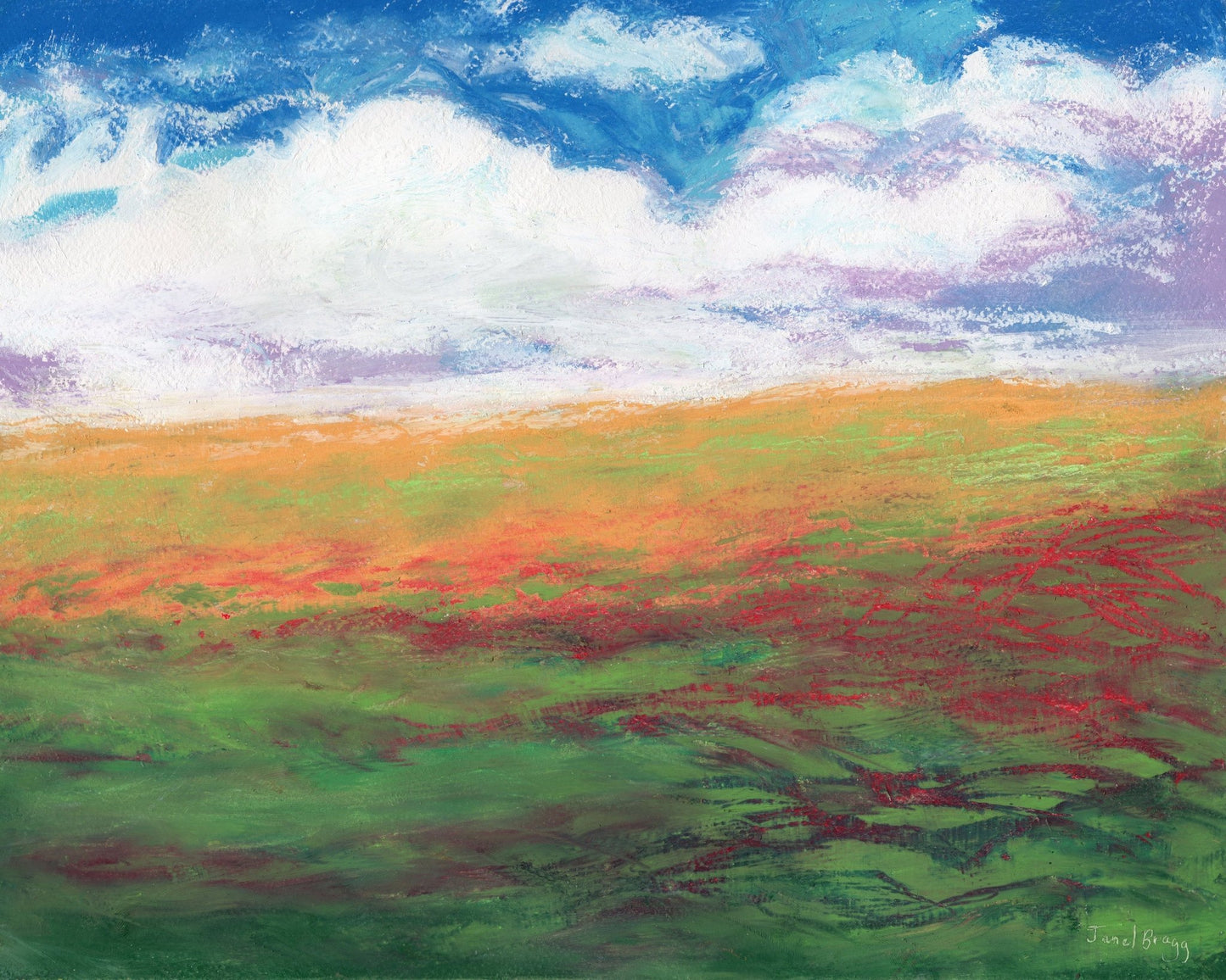 Colorful Flower Fields No2