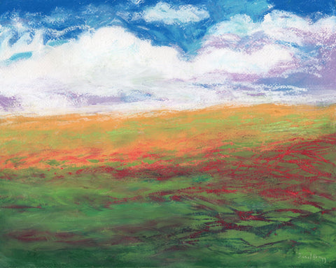 Colorful Flower Fields No2