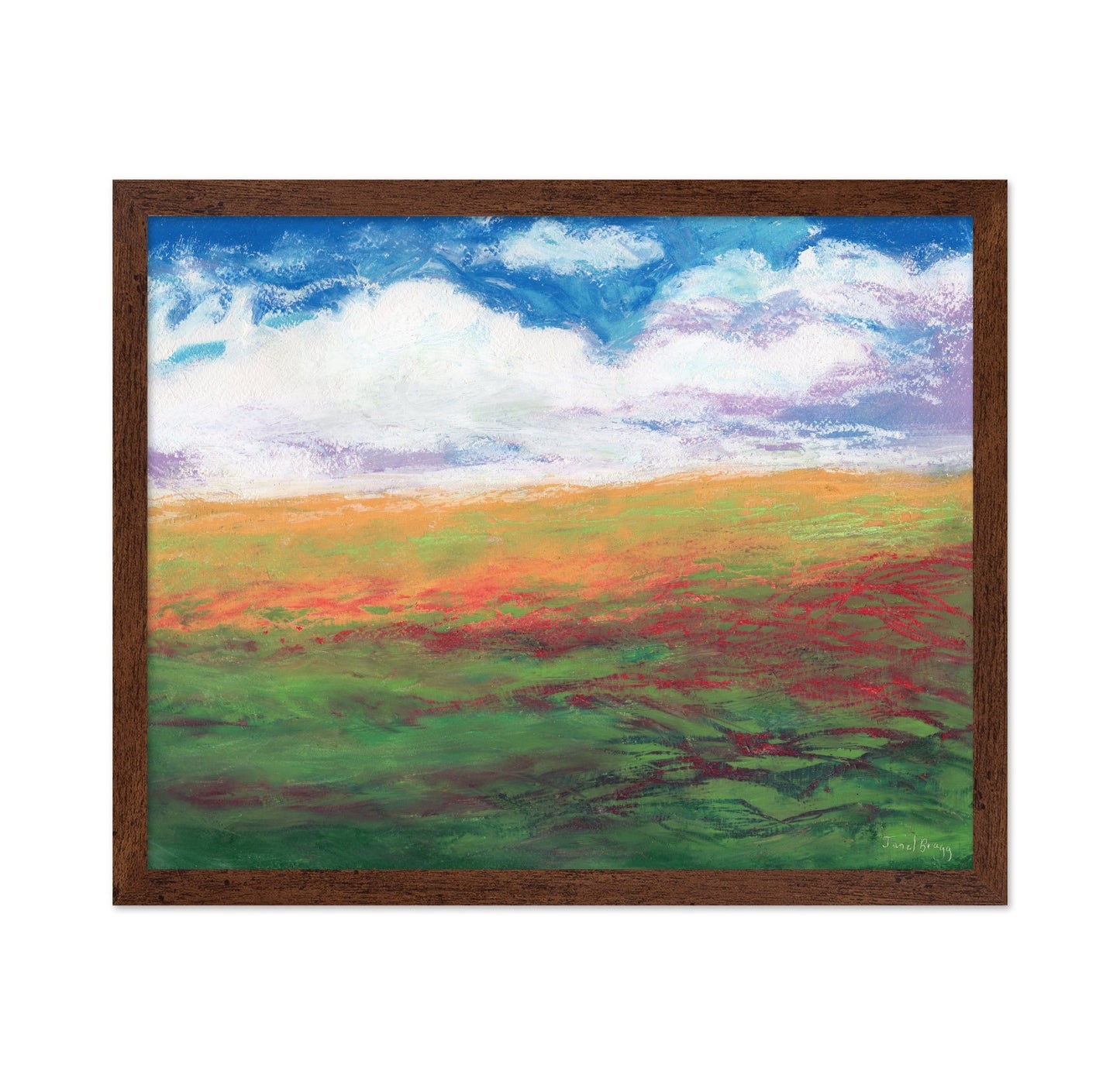 Colorful Flower Fields No2