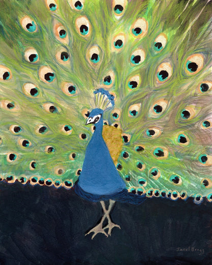 Peacock Display