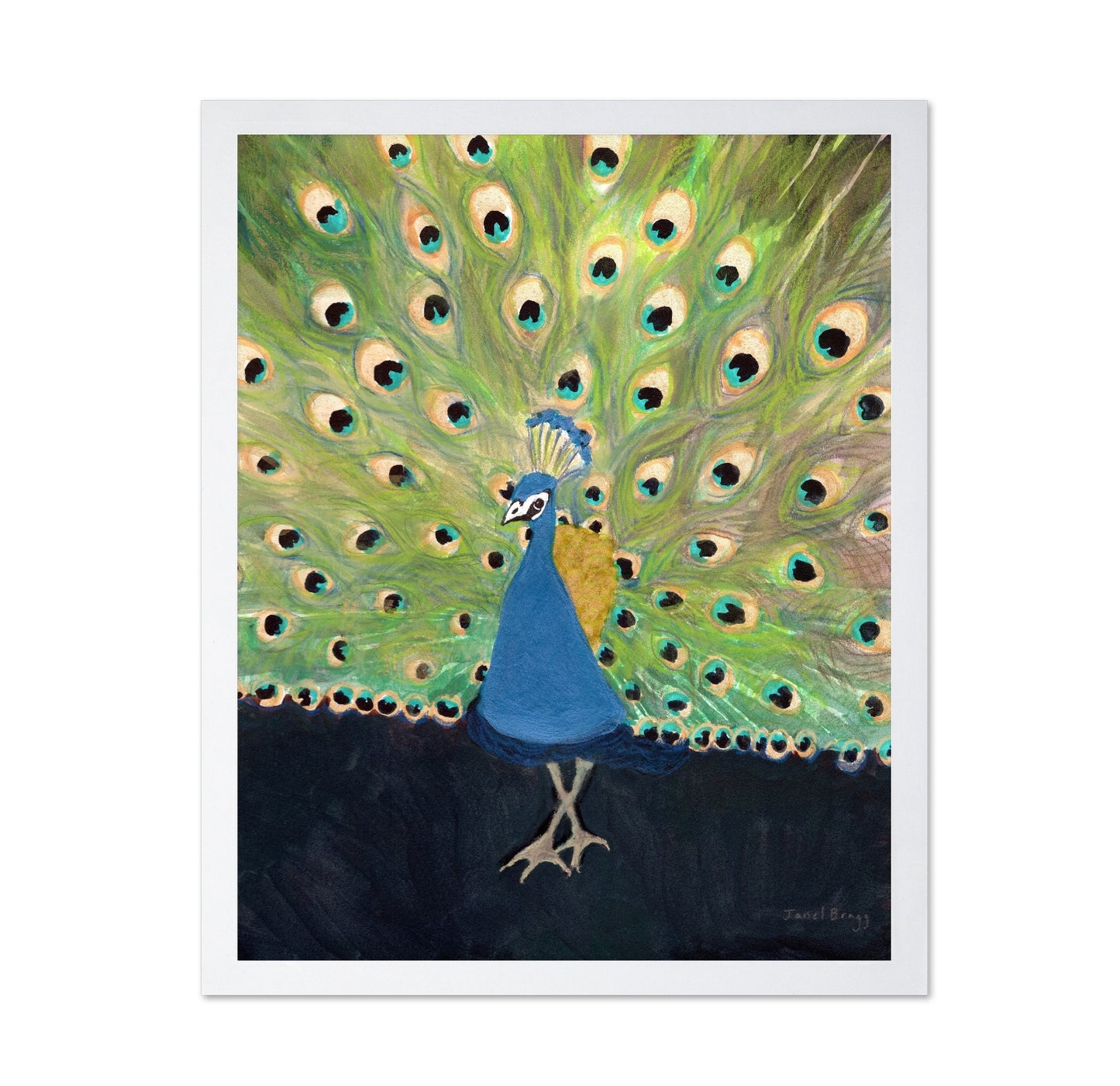 Peacock Display