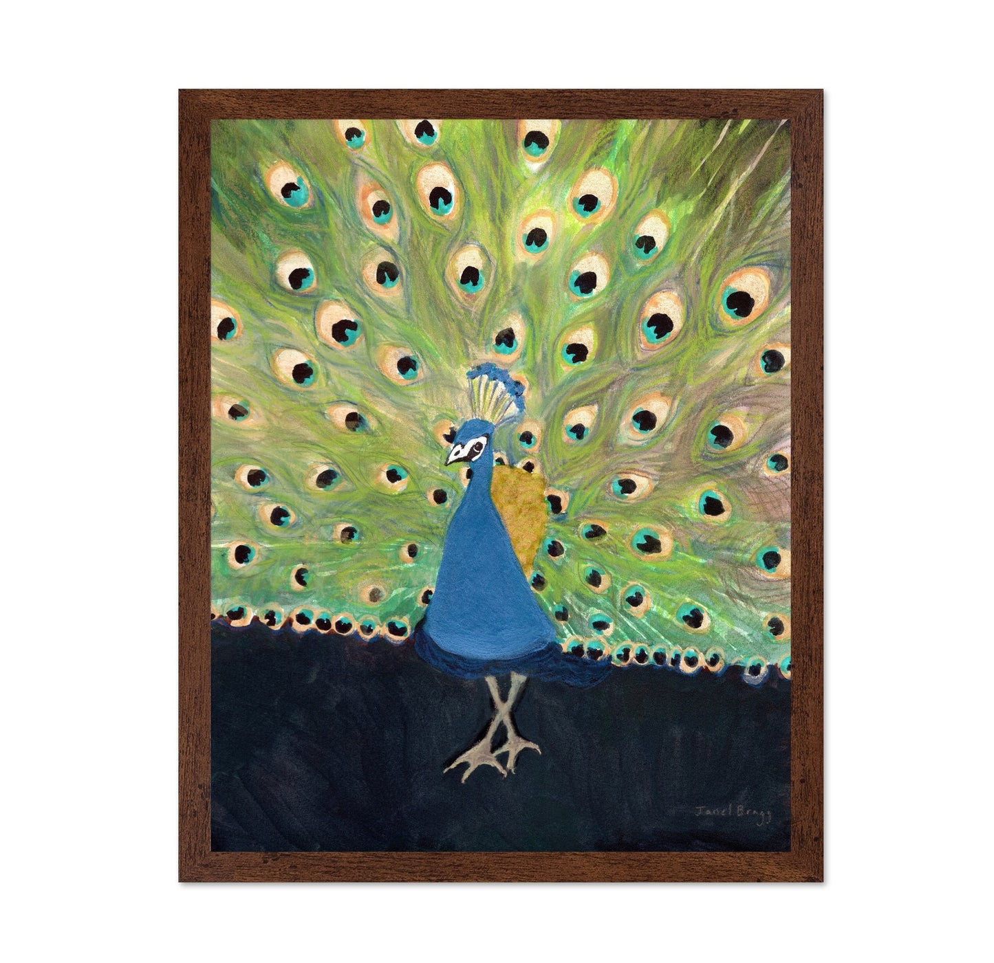 Peacock Display