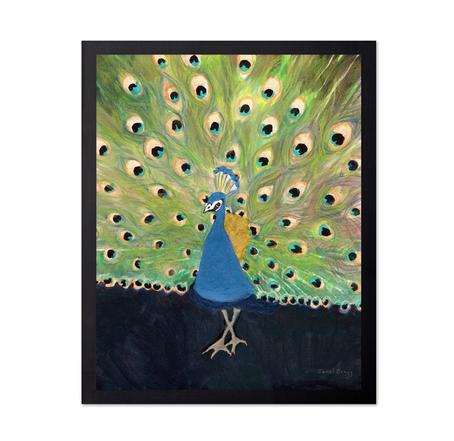 Peacock Display
