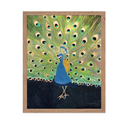 Peacock Display