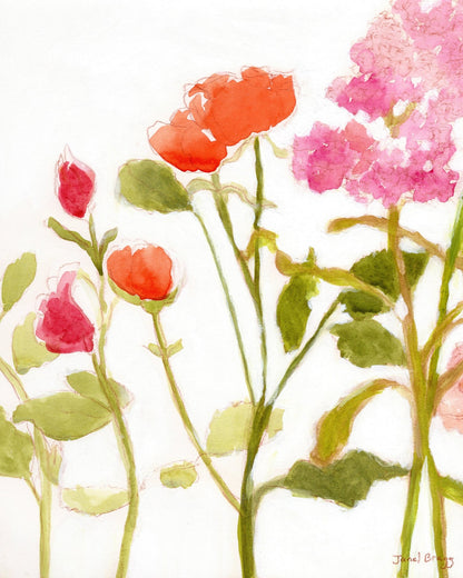 Orange Pink Roses