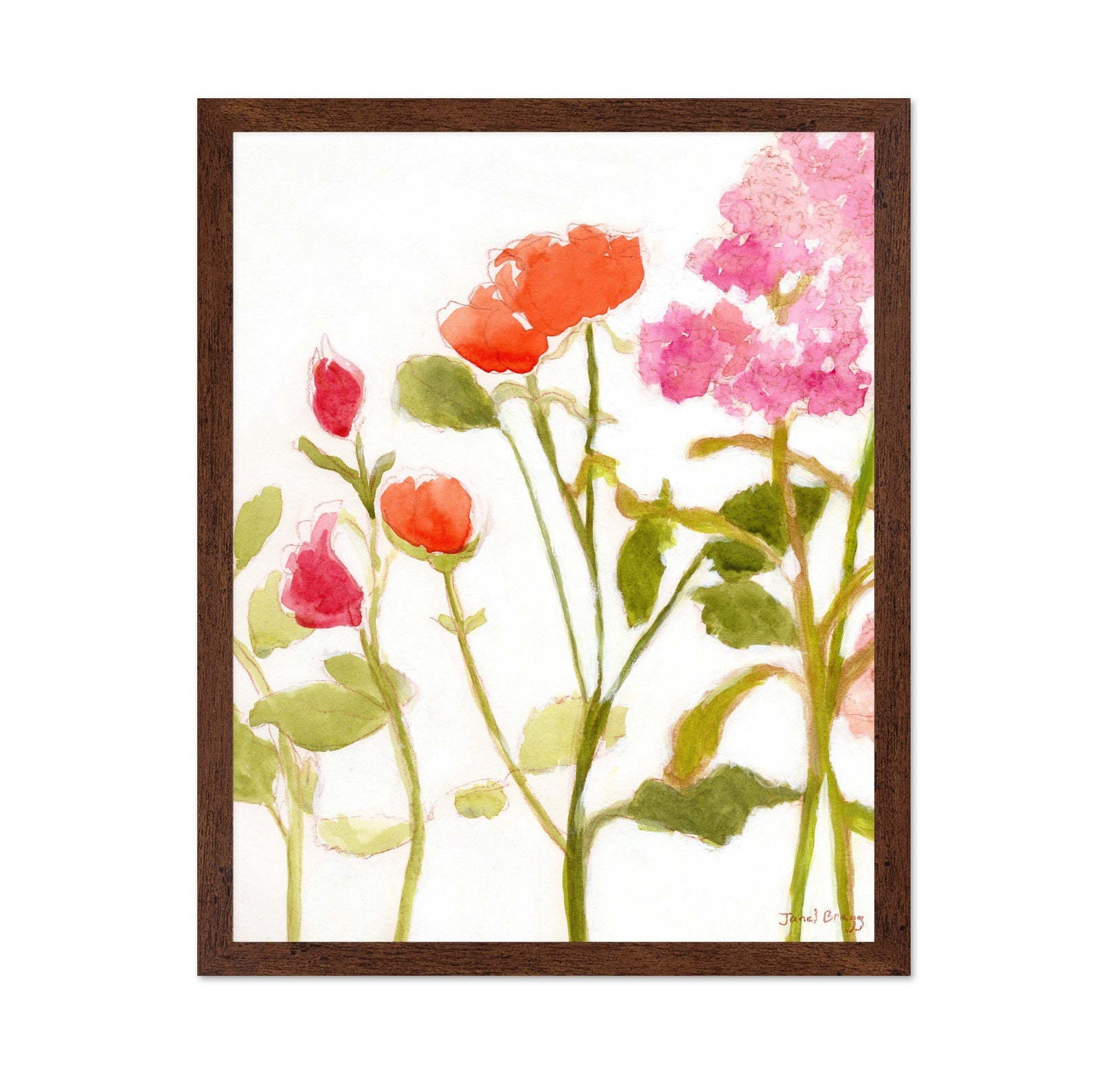 Orange Pink Roses