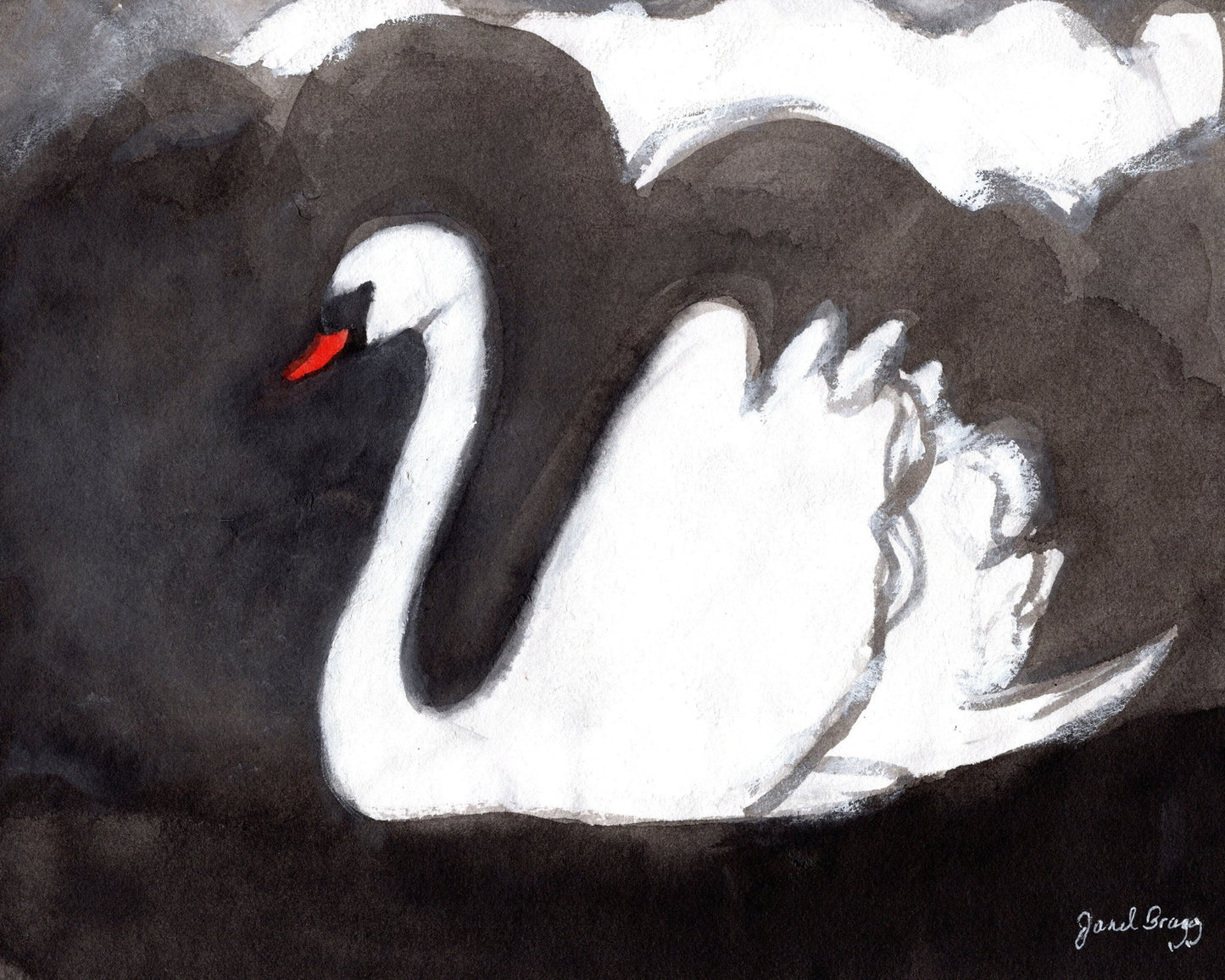 Storm Swan