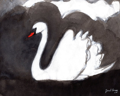 Storm Swan