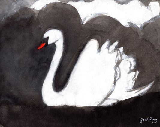 Storm Swan