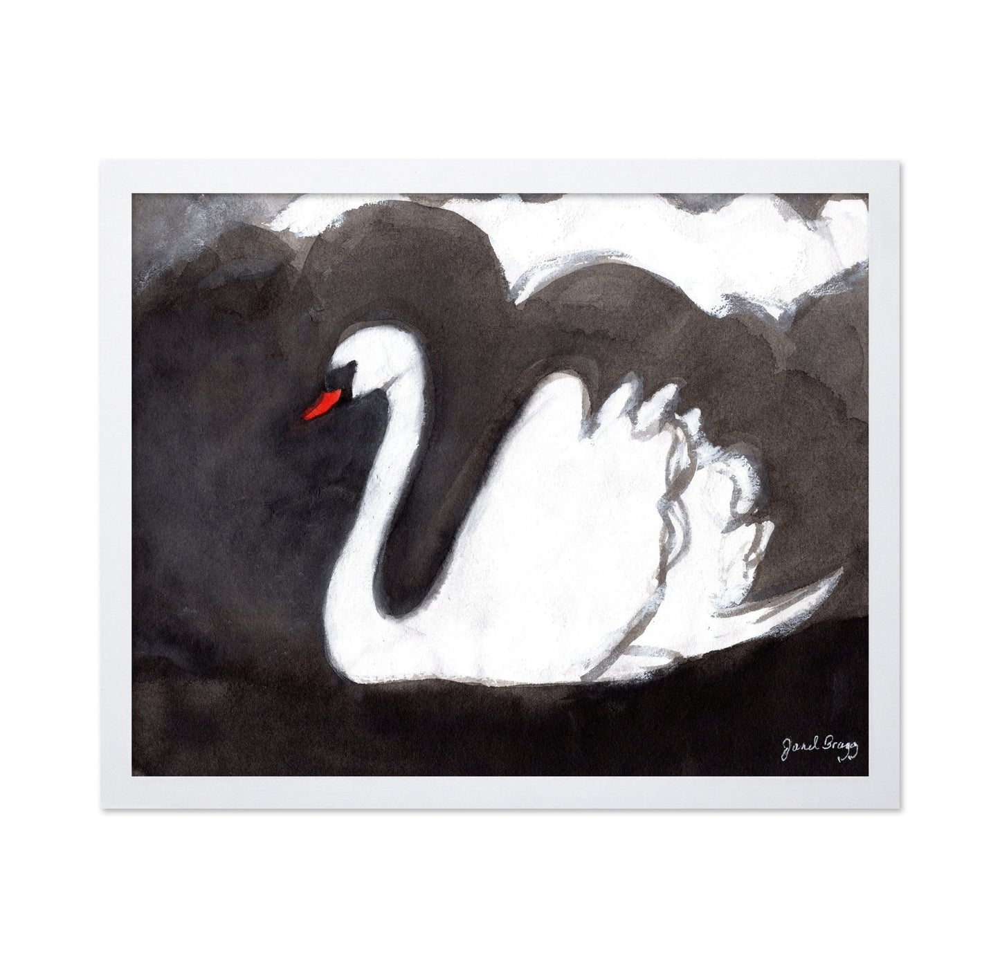 Storm Swan