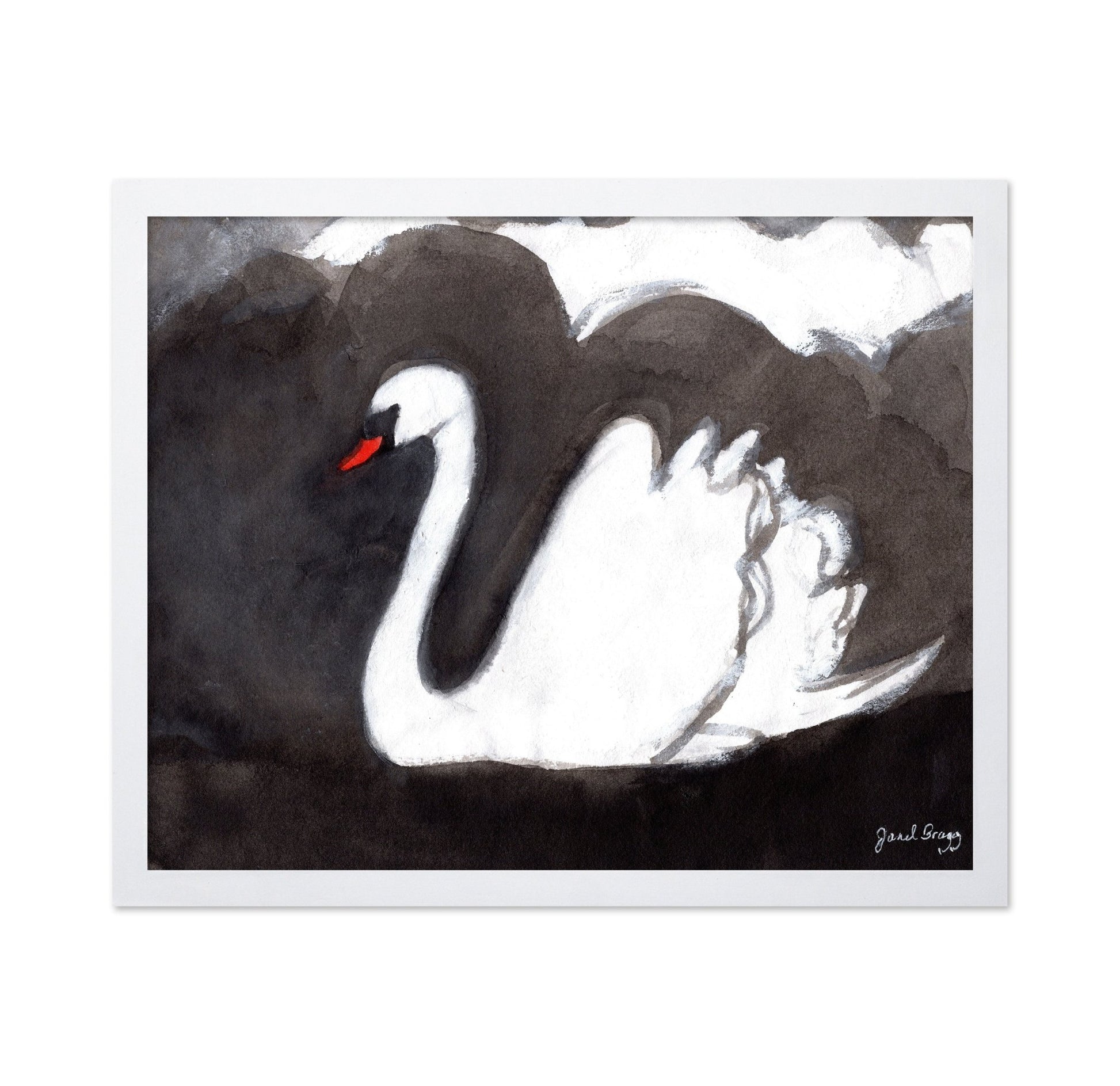 Storm Swan