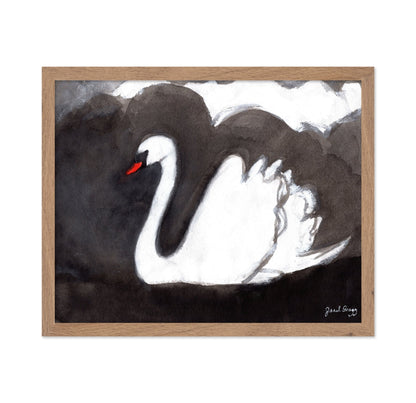 Storm Swan