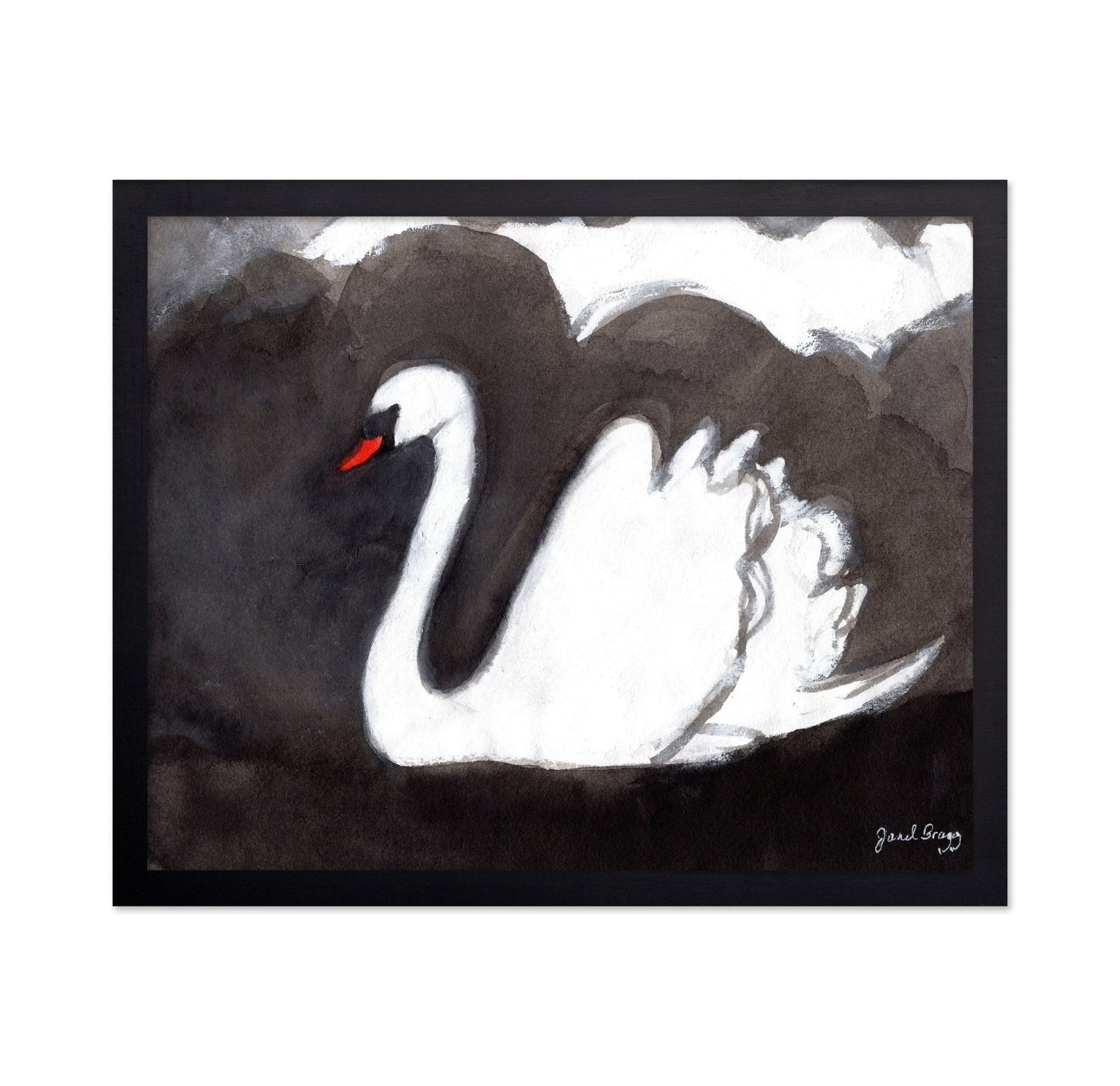 Storm Swan