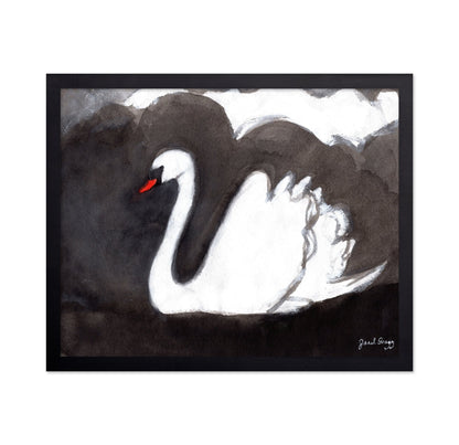 Storm Swan