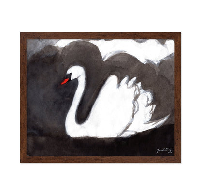 Storm Swan