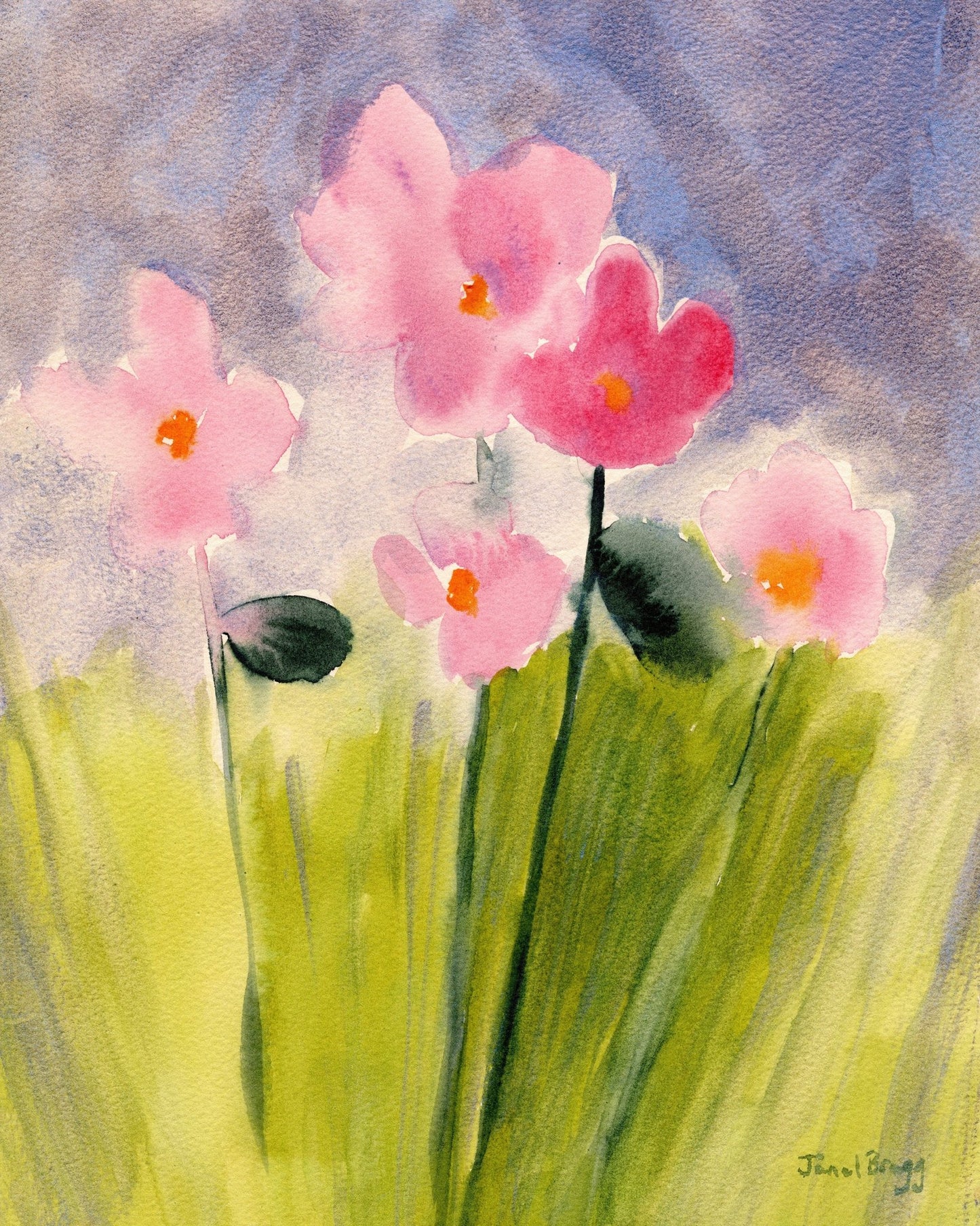 Pink Meadow Flowers