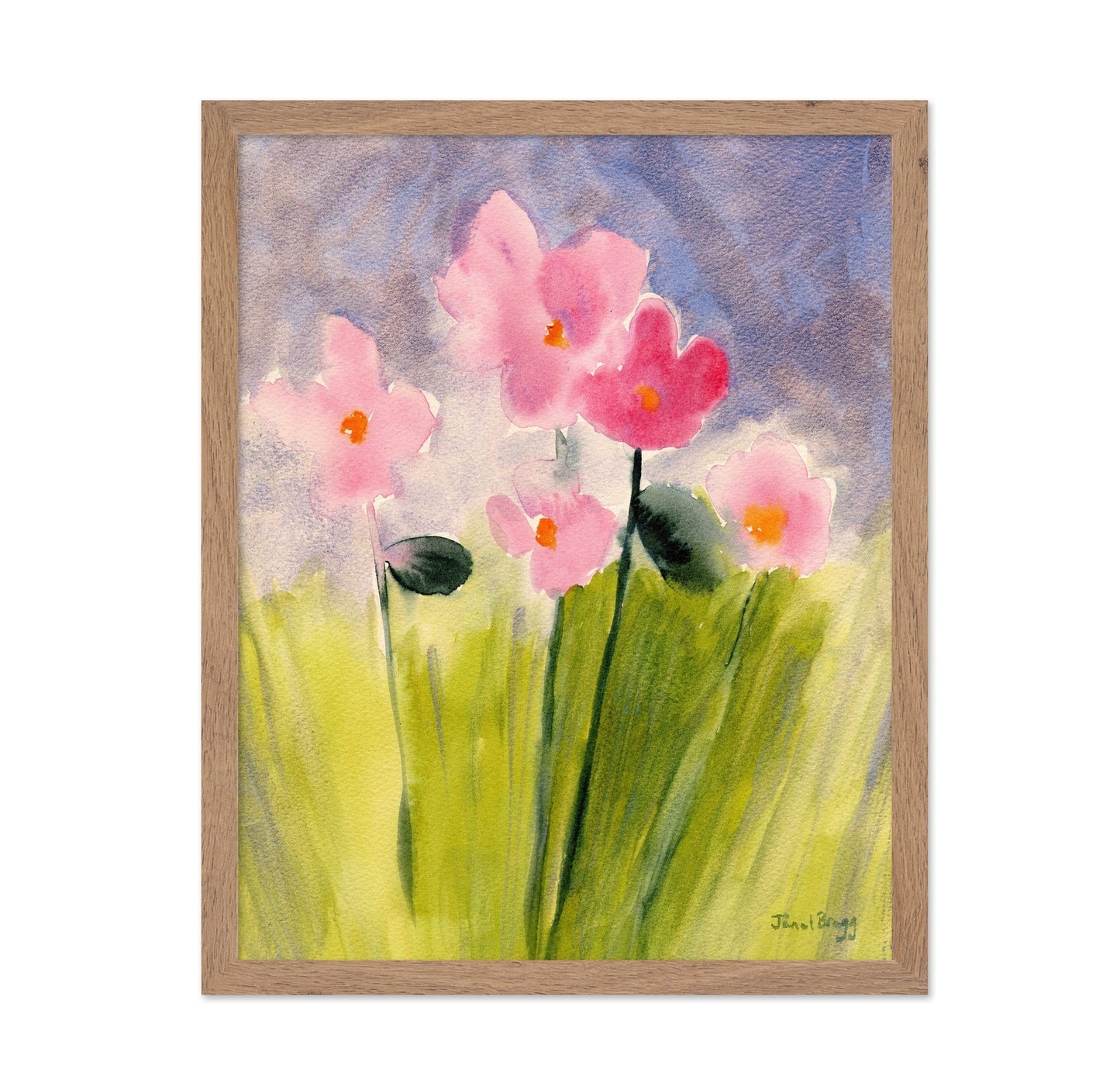 Pink Meadow Flowers