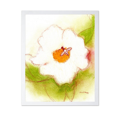 Bee On White Rose