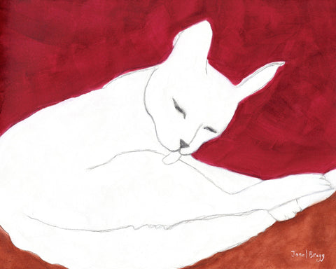 White Cat Resting