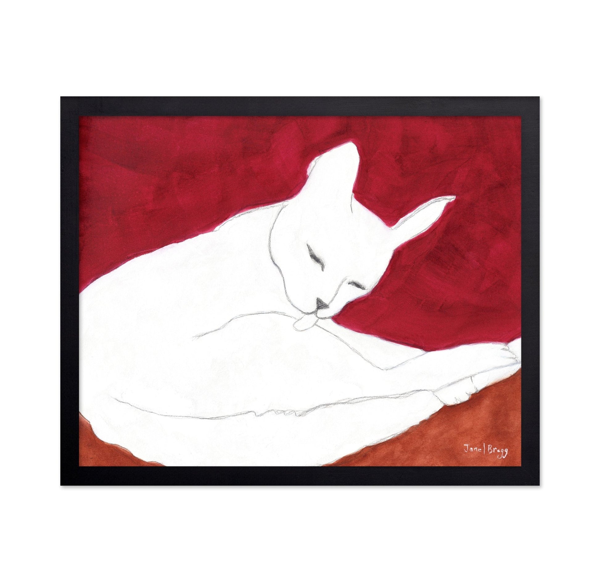 White Cat Resting