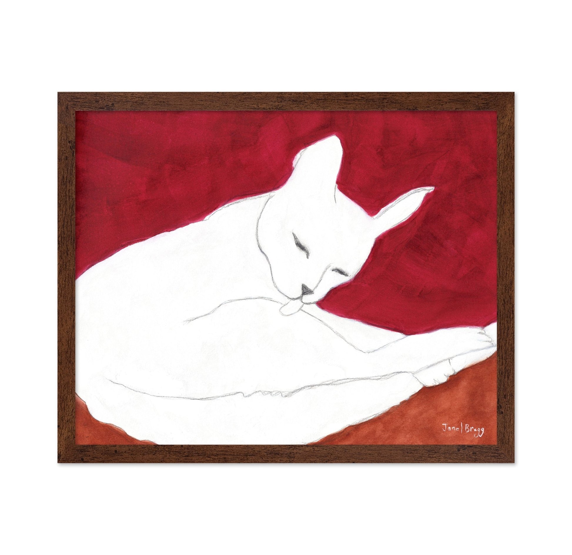 White Cat Resting