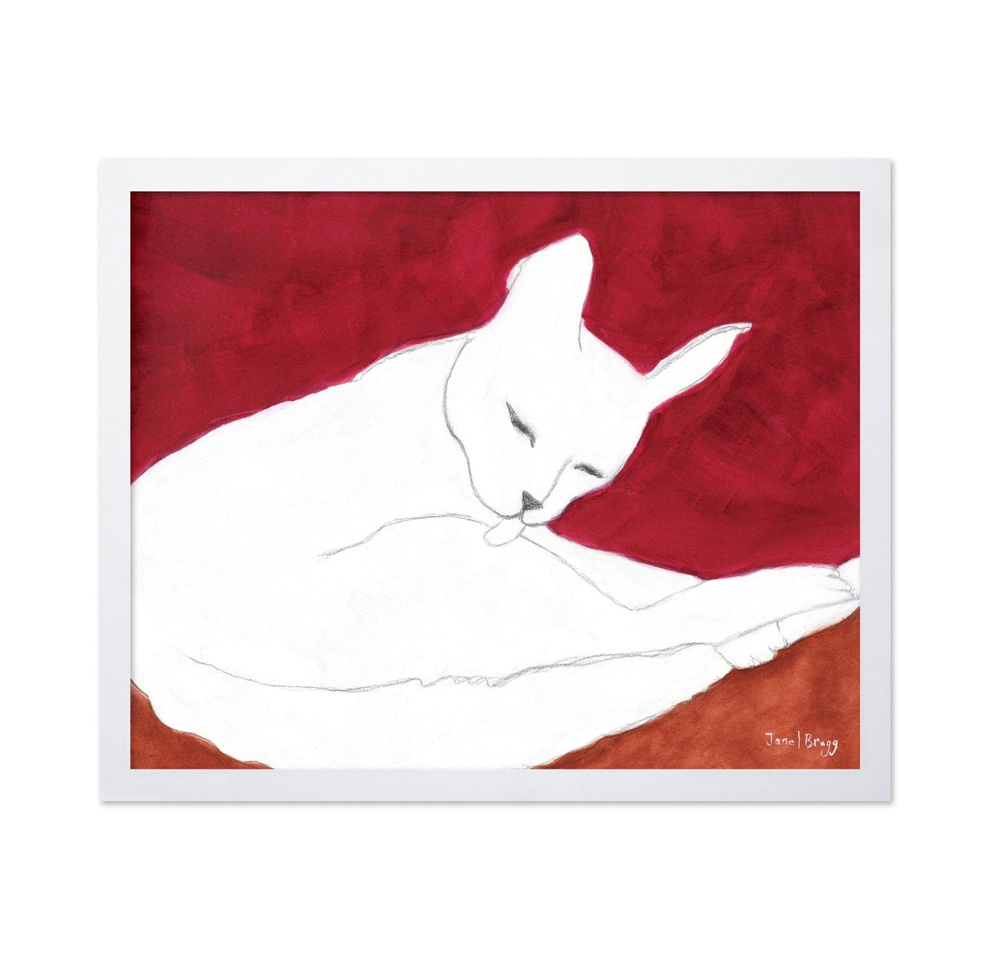 White Cat Resting