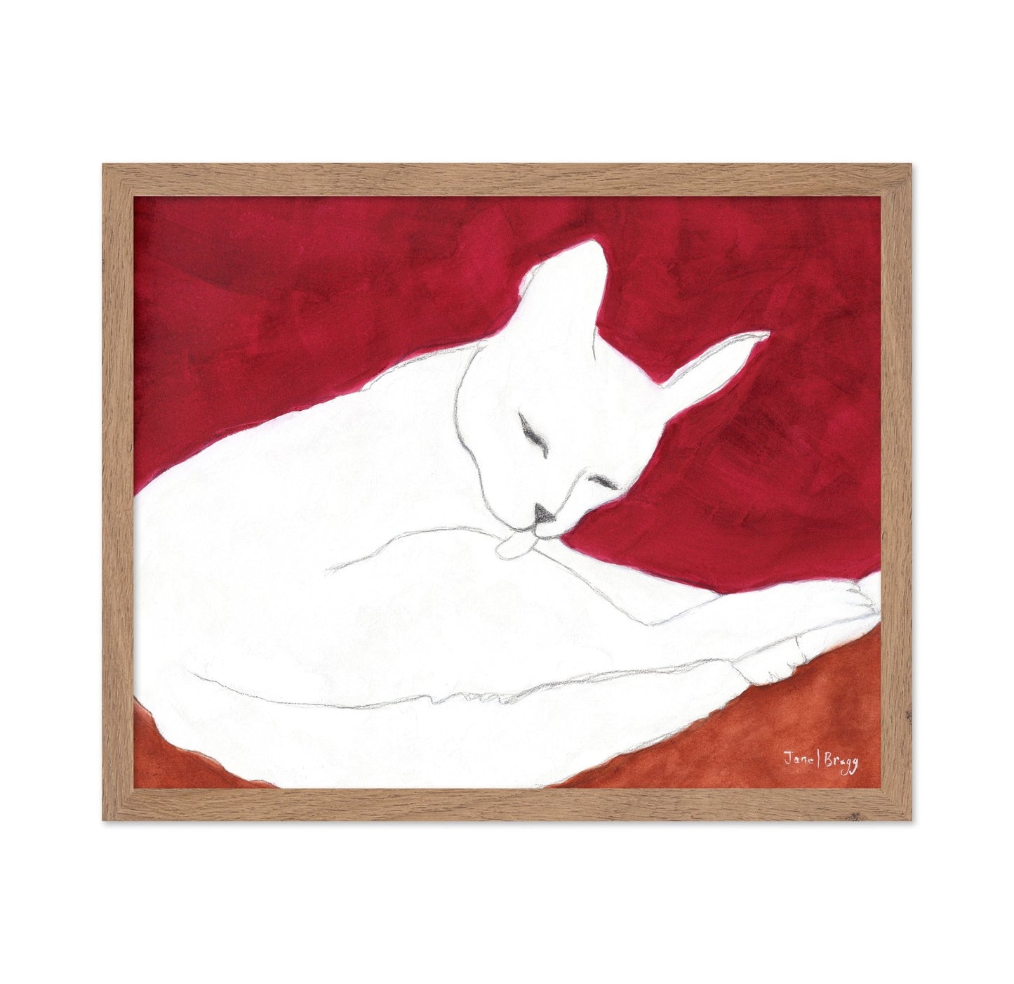 White Cat Resting