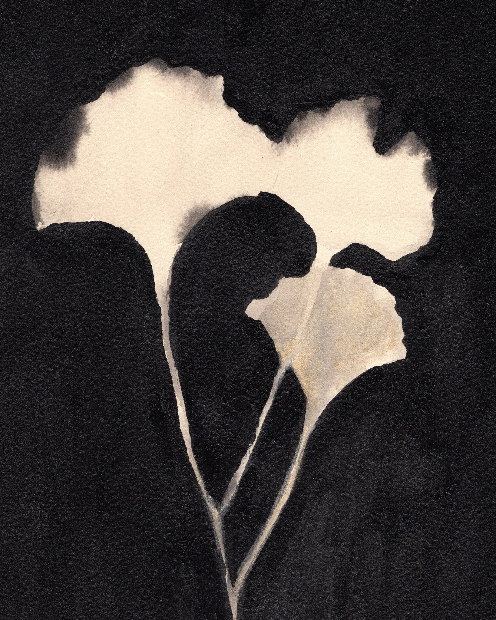 Ginkgo Leaves Pair