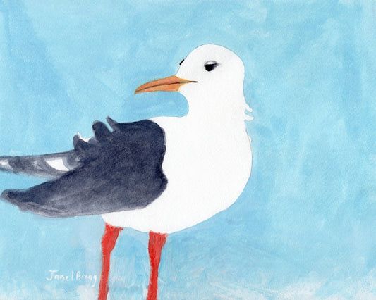Seagull Blue Sky