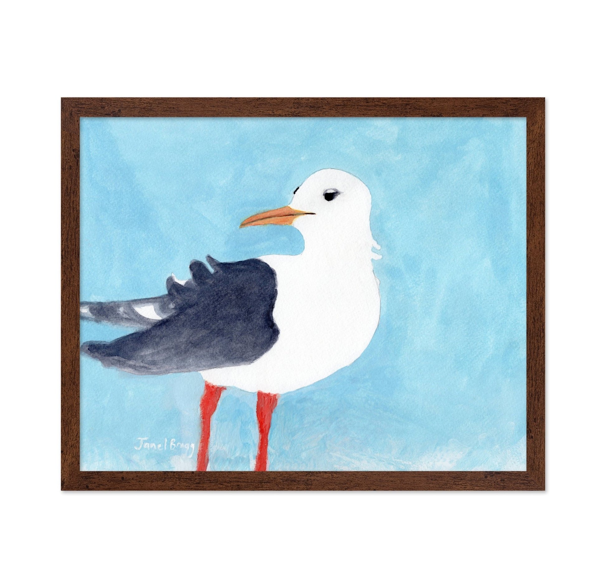 Seagull Blue Sky