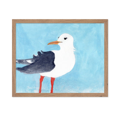 Seagull Blue Sky