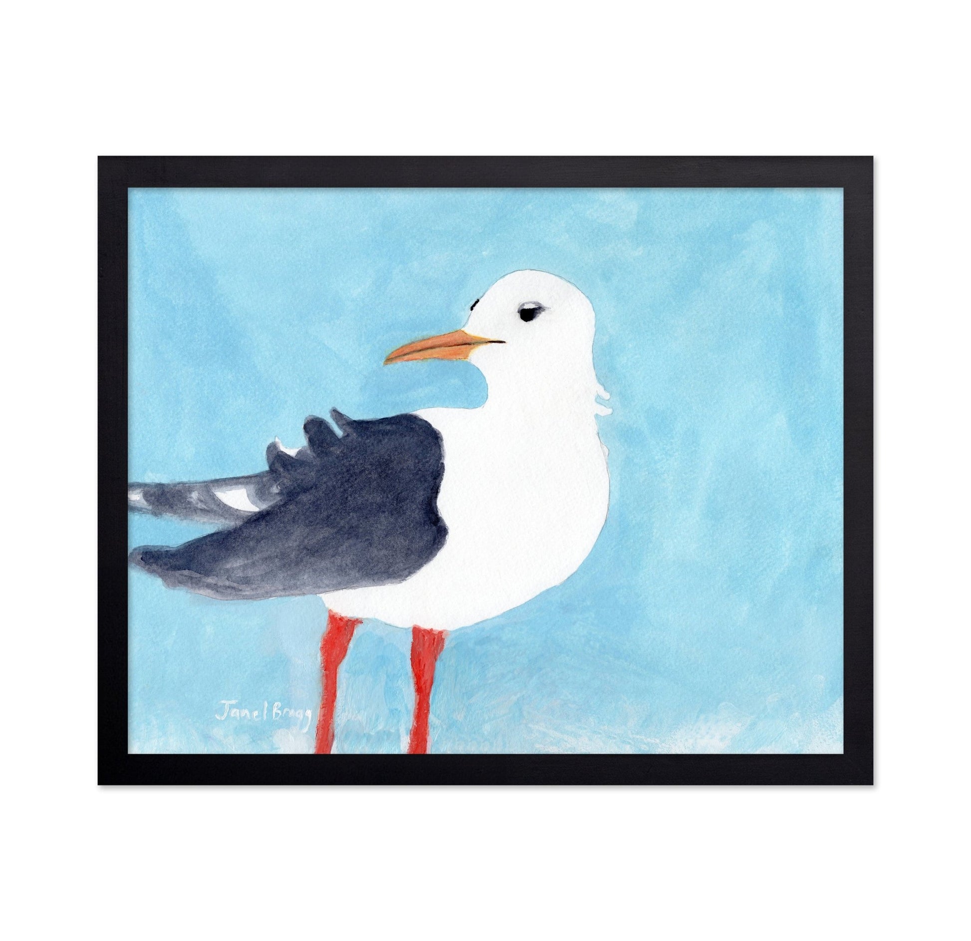 Seagull Blue Sky