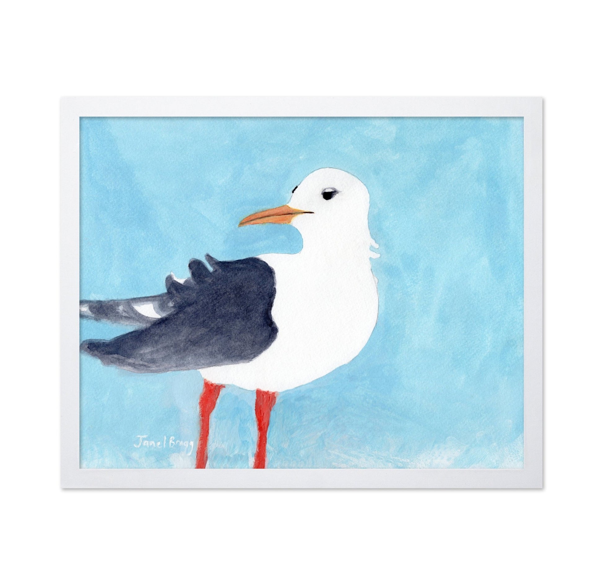 Seagull Blue Sky