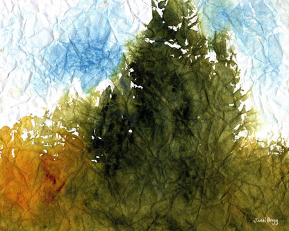 Forest By The Sea