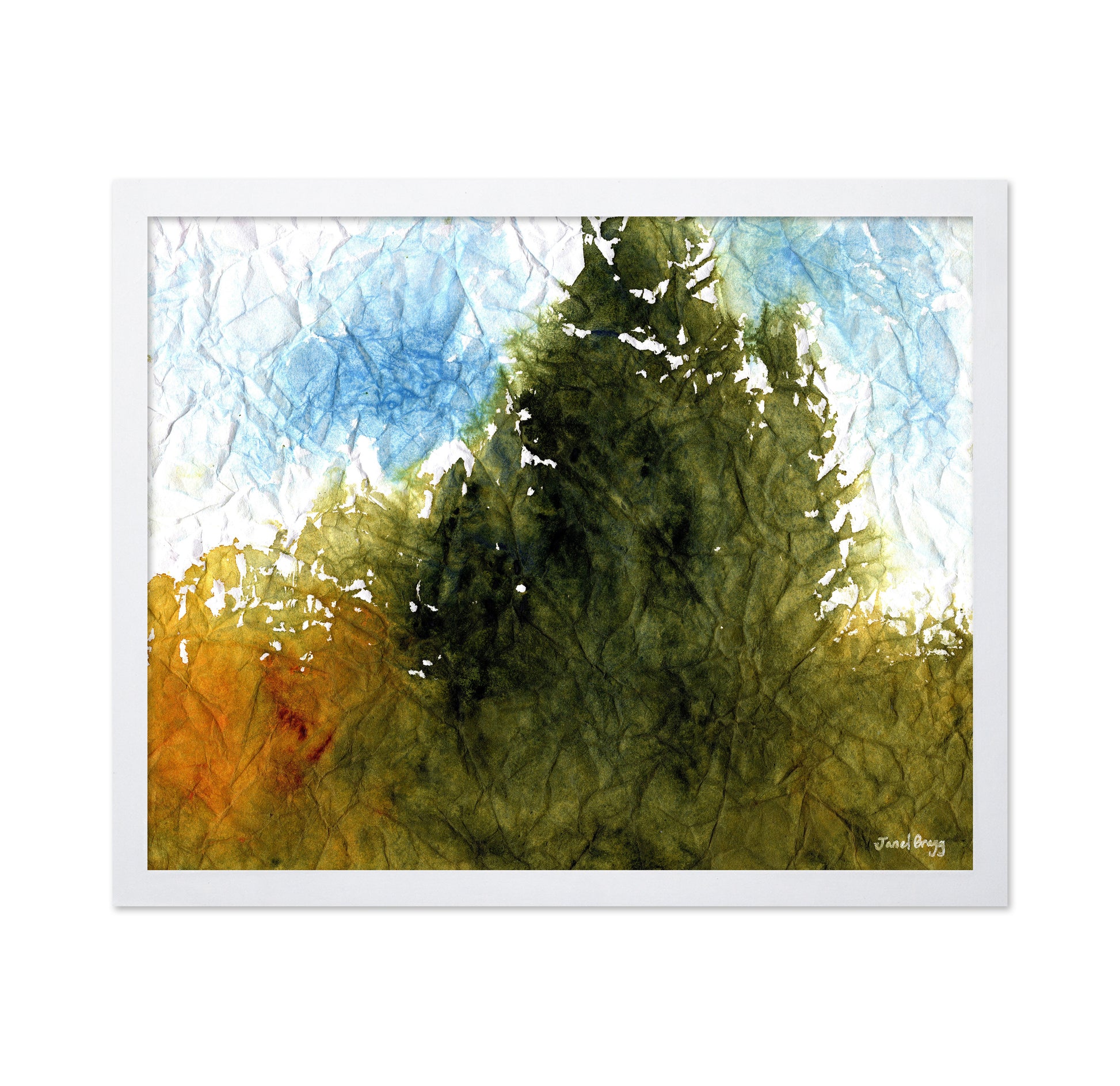 Forest By The Sea