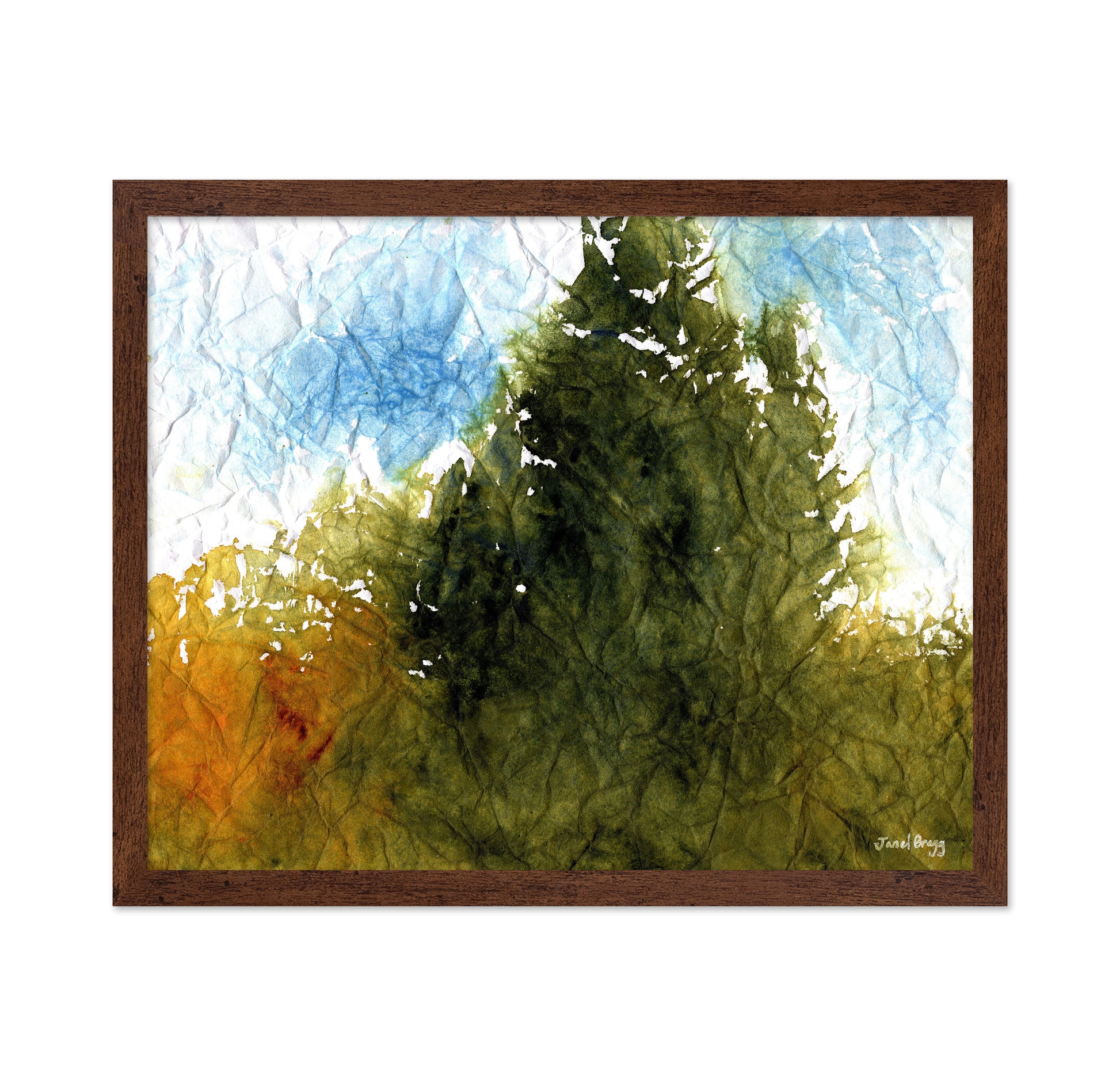 Forest By The Sea