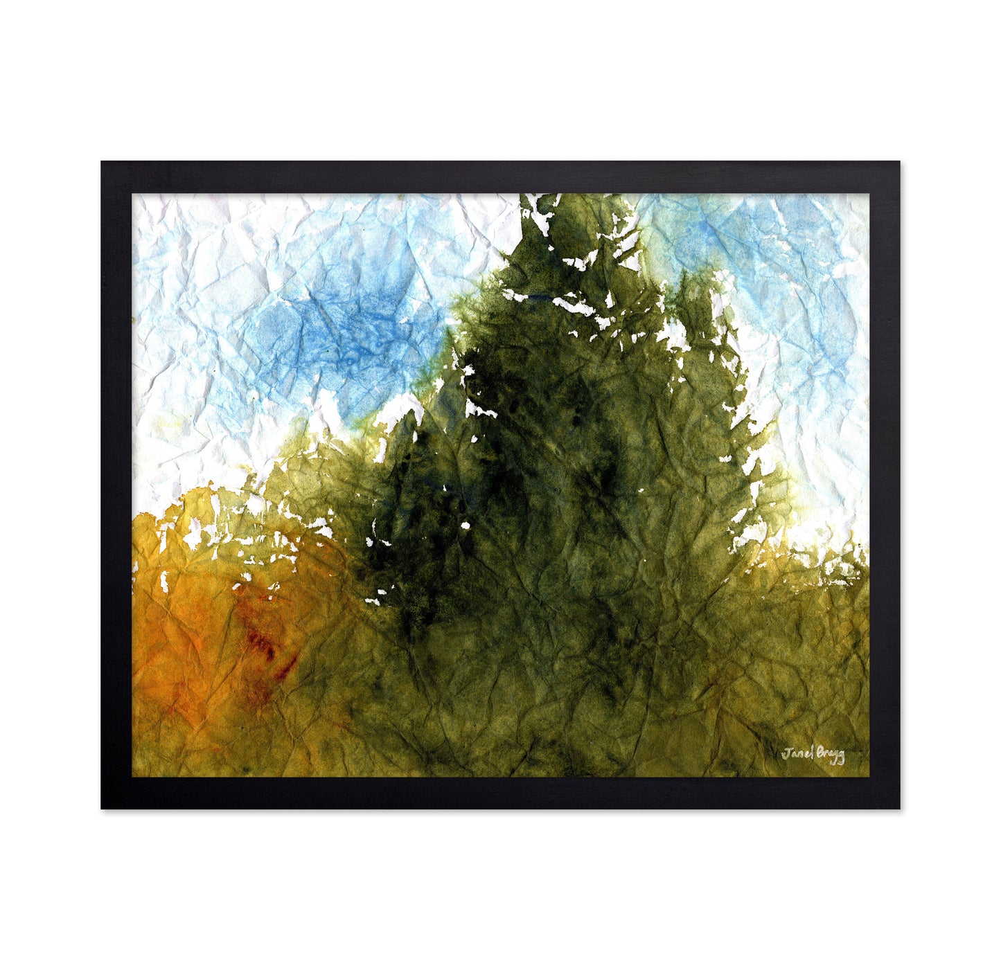 Forest By The Sea