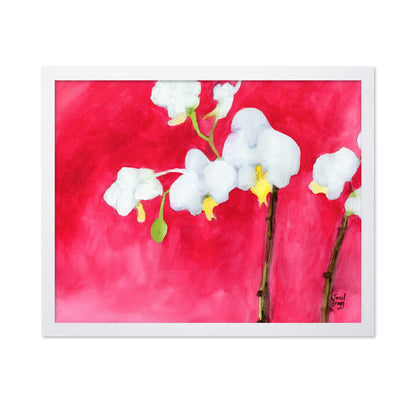 Pink Orchid Bloom No3