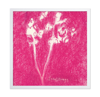 Rose Babys Breath